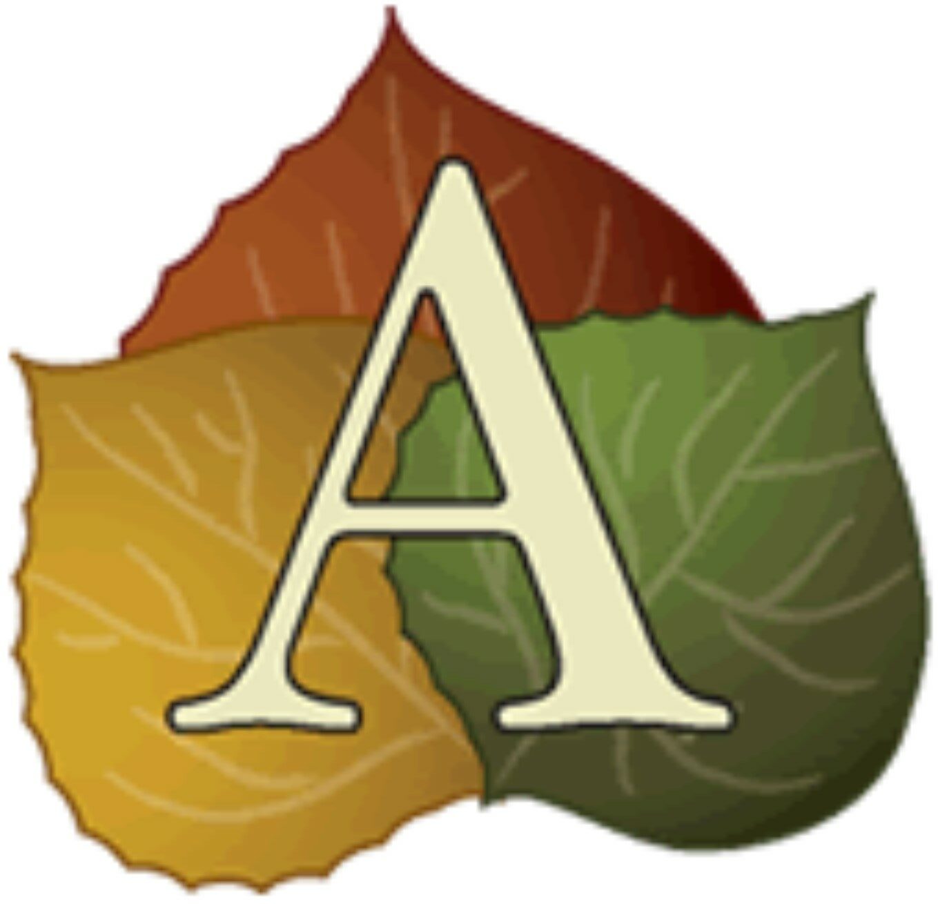 contact-aspen-surgery-center